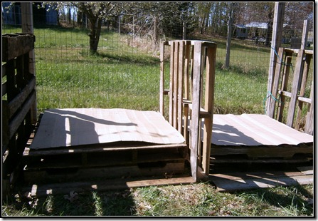 2012 Gardening and Fruit Trees.23