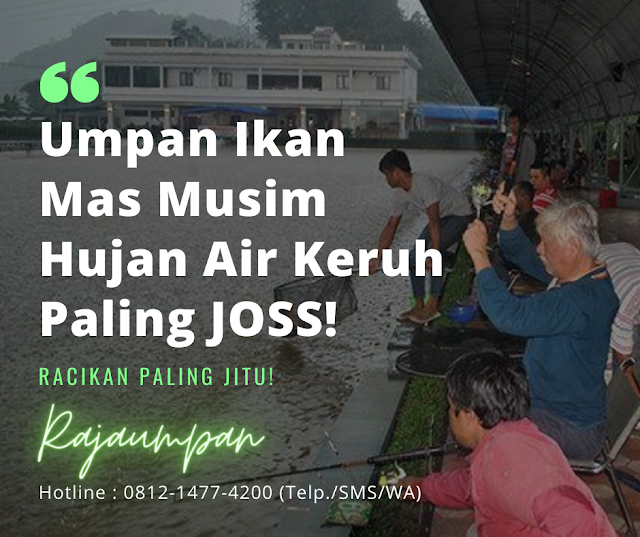 https://pusatessenterbaik.blogspot.com/2020/07/racikan-umpan-ikan-mas-musim-hujan-air-keruh-paling-joss.html