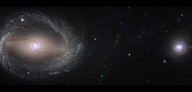 This composite image, created out of two different pointings from Hubble, shows the barred spiral galaxy NGC 1512 (left) and the dwarf galaxy NGC 1510 (right). Both galaxies are about 30 million light-years away from Earth and currently in the process of merging. At the end of this process NGC 1512 will have cannibalised its smaller companion.  Credit: ESA/Hubble, NASA