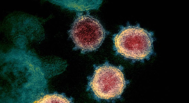 Cientistas criam antiviral com 99,9% de eficácia contra o coronavírus
