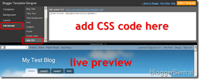 template designer add custom css