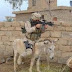 Funny Pictures Part 26