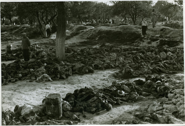 Vinnytsia massacre