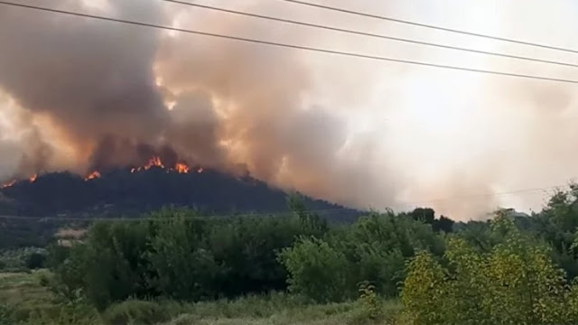 Σε κολοσσιαία καταστροφή εξελίσσεται η πυρκαγιά που καίει τον Εθνικό Δρυμό της Δαδιάς. Οι κάτοικοι της περιοχής καταγγέλλουν ότι ήδη έχει γίνει στάχτη το 50% της δασικής έκτασης του Δρυμού. Πρόκειται για τη μεγαλύτερη περιοχή Natura της χώρας και ένα από τα σημαντικότερα οικοσυστήματα της Μεσογείου. Ακόμα ένα μεγάλο έγκλημα κατά της χώρας συντελέστηκε με κύριους υπεύθυνους την κυβέρνηση Μητσοτάκη και το πολιτικό σύστημα.