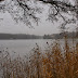 Långsjön 2008-11-09