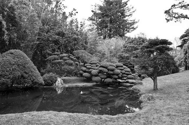 Green-Pear-Diaries-Fotografías-San-Francisco-Japanese-Tea-Garden_Alexandra-Proaño