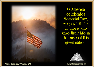 flag with smoke in background