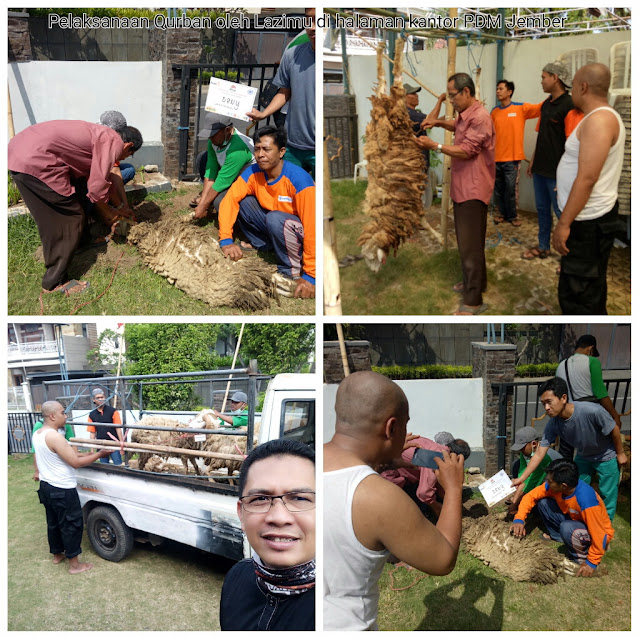 Qurban di Halaman Kantor PD. Muhammadiyah Jember