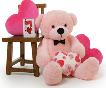 Romantic I Love You Teddy Bear Picture