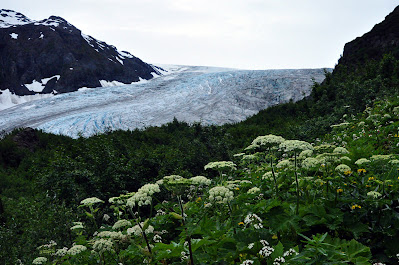 Exit Glacier, Kenai Fjords National Park