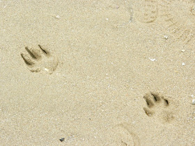 Barkby Beach, North Wales, North Wales Beach, 