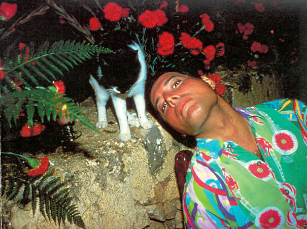 20 Epic Pictures Of Freddie Mercury And His Beautiful Cats