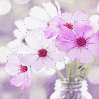 10 Gambar Bunga  Sakura Terpopuler Gambar Animasi  GIF SWF 