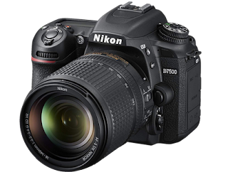 Best DSLR camera 2019: 10 great cameras to suit all budgets