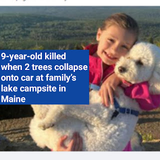 When two trees fell over a car at a family's lakeside campground in Maine, a 9-year-old was killed.