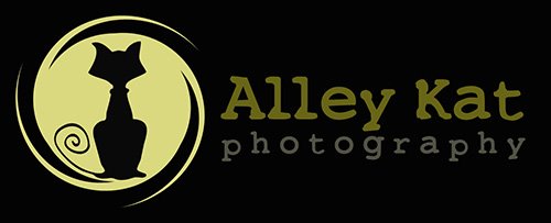 Alley Kat Photography