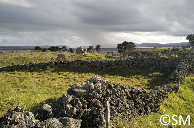 Photos de Otuataua Stonefield Historic Reserve Auckland Nouvelle-Zélande