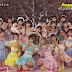 [VIDEO] 240401 AKB48 - 365nichi no Kamihikouki + Karakon Wink @CDTV LIVE! LIVE!