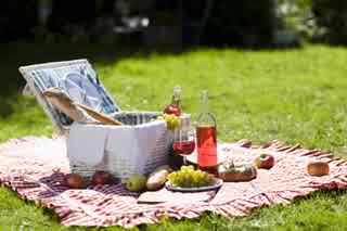 94% Picnic Food Answers English, Portugues, Deutsch, Espanol Espana, French/Francais, Espanol Mexico, Italiano, Russian