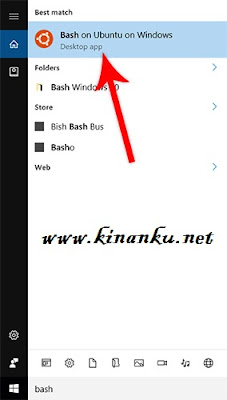 www.kinanku.net