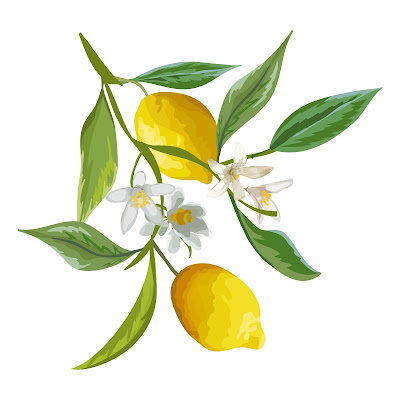 200 + Cartoon Images of Lemon fruit