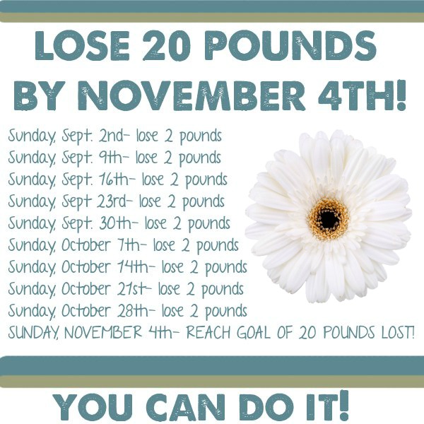  post you can lose 20 pounds by november 4th if you lose 2 pounds a