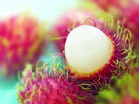 manfaat buah rambutan