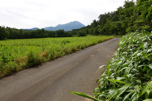 鳥取県西伯郡大山町赤松