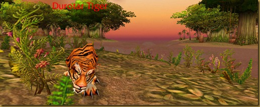 durotar_echo_isles