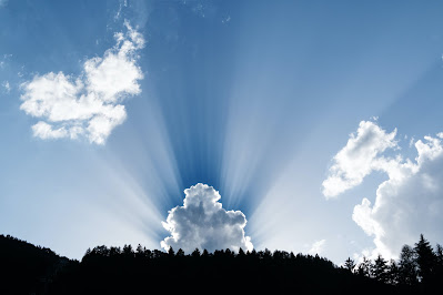 Image of a light rays emanating intensely from clouds behind dark forest trees. Blessed is She.