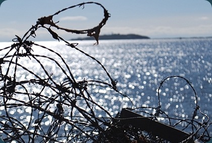 barbed wire