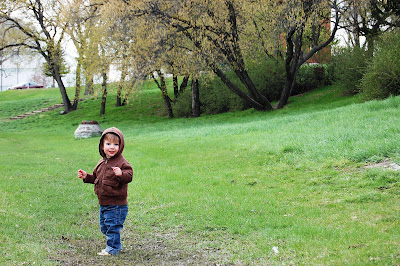 green grass snapshots in kinsmen park valley