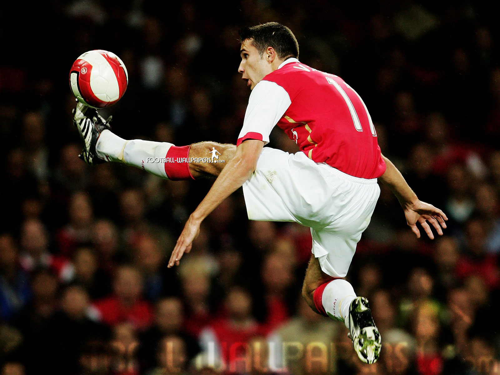 ROBIN VAN PERSIE