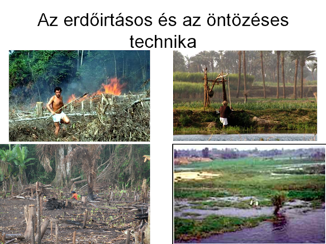 erdőirtásos és öntözéses földművelés