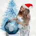 New Music from Waje: Merry Christmas (LISTEN TO AUDIO)