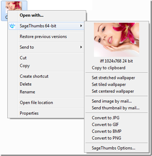 sagethumbs-context-menu