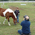 Declan Filmed for ASPCA Video at Humane Awards