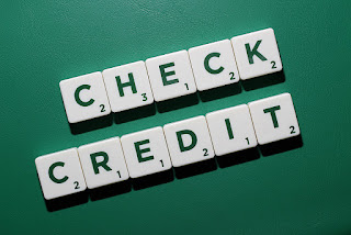 Credit Check Background Check