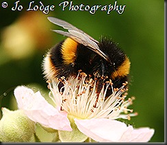 IMG_6389