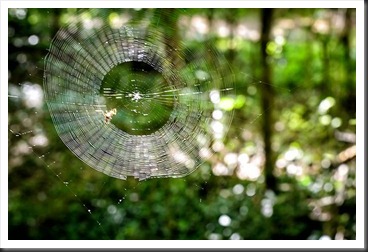 2012Jun13-Lost-River-Cave-8