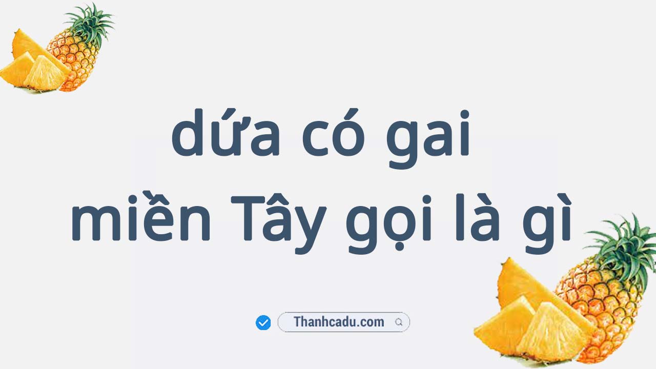 dua-co-gai-la-gi