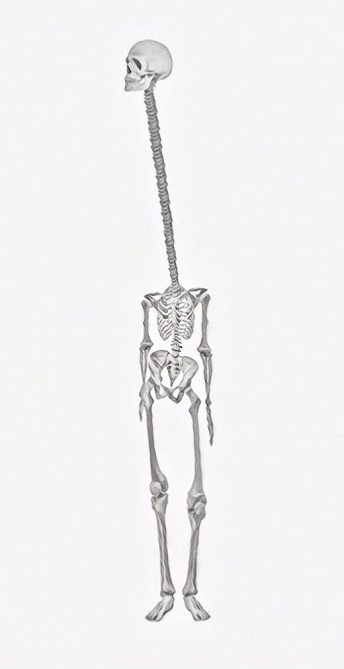 Skeleton of Rokurokubi