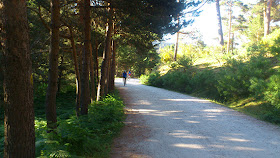 Comienza la señalización de 21 rutas en bici por el Parque Nacional de Guadarrama