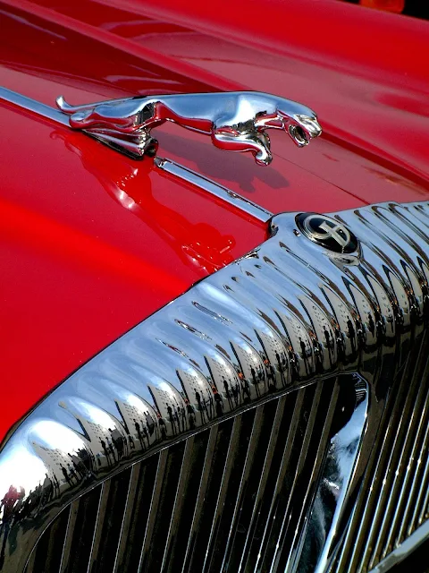 Jaguar Cars - Photo by Archer Hsu on Pexels