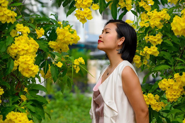 Hoa có vàng nơi ấy