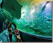 activity_578_22