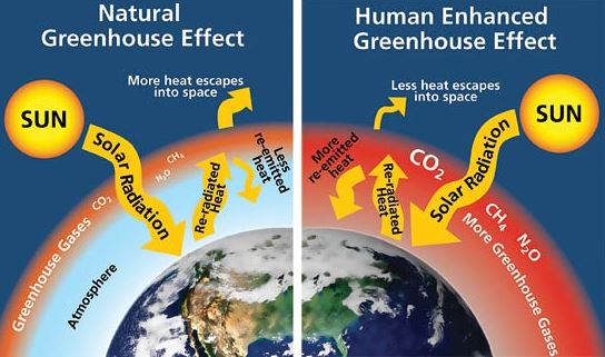 pemanasan global di bumi akibat efek rumah kaca menyebabkan hal berikut ini kecuali
