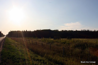 country road and hay field at sunset. Alberta, Canada