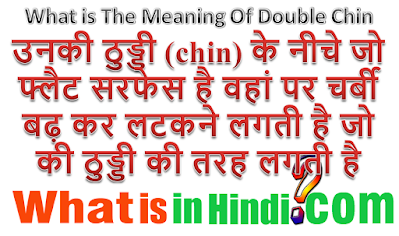 What is the meaning of Double Chin in Hindi