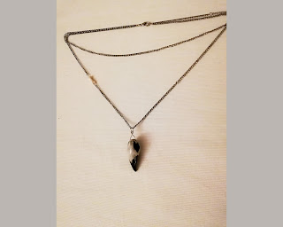 bird skull,necklace,kill,kill star